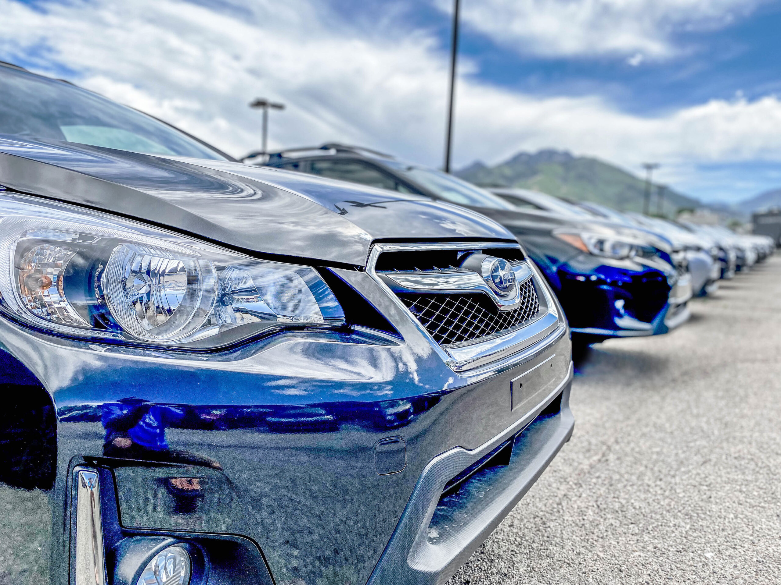 Used vehicles lined up on car lot